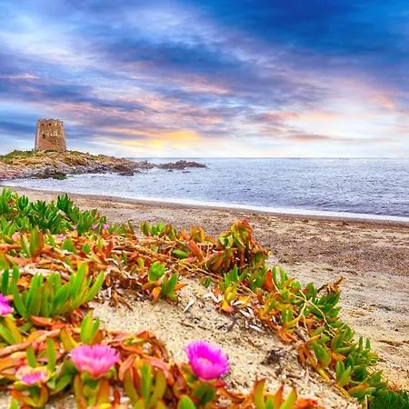 Sunrise アパート バリ・サルド